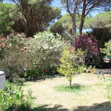 Andaluza En Zona Playa Barrosa Con Piscina Y Barbacoa Villa *